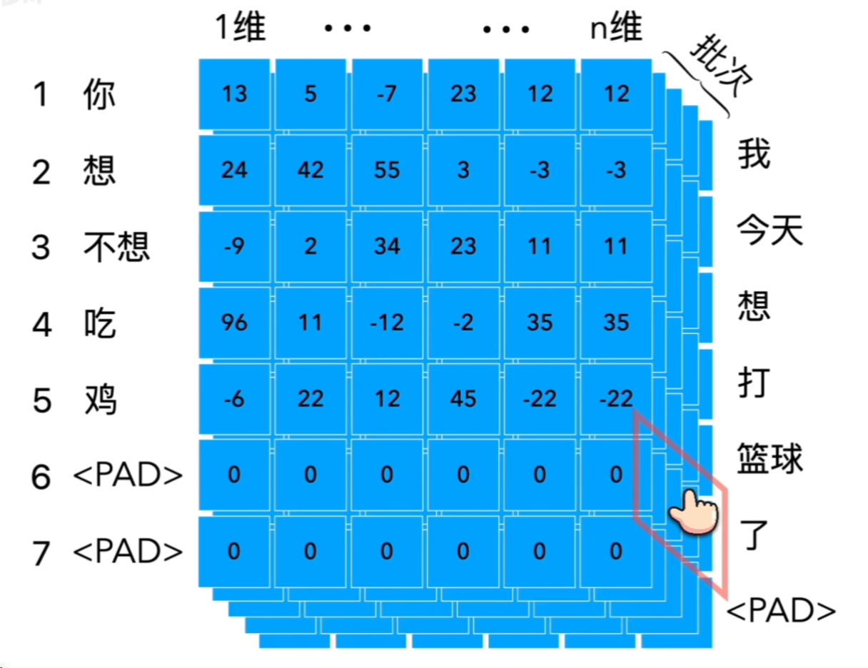 批次中的变长序列与 Padding